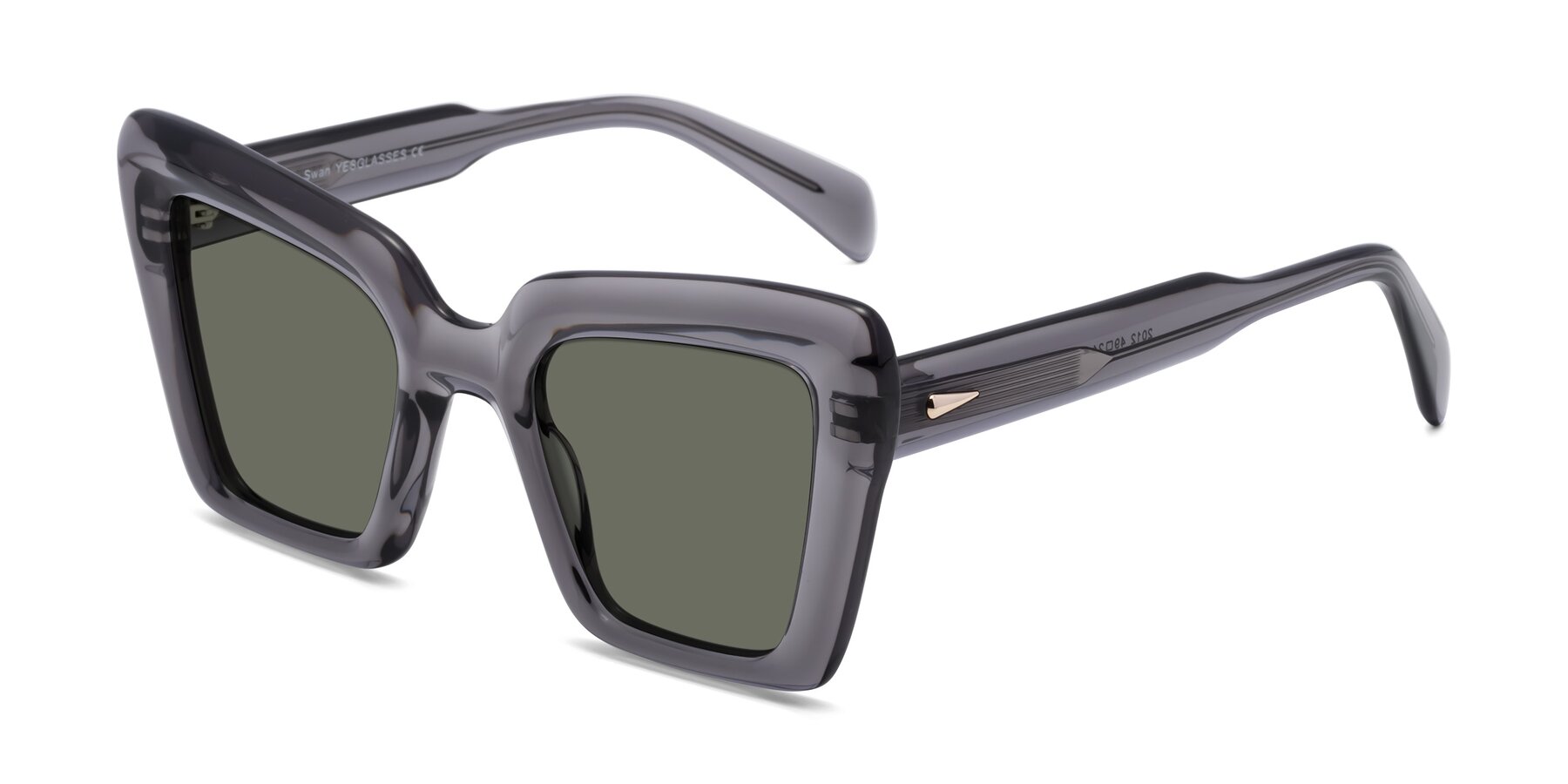Angle of Swan in Transparent Gray with Gray Polarized Lenses