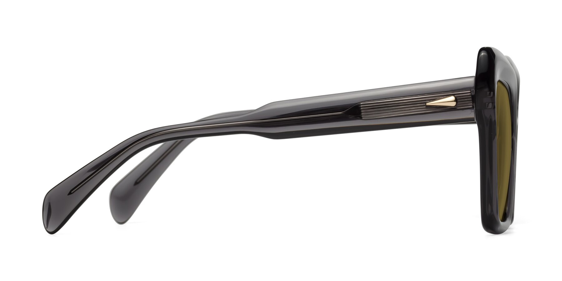 Side of Swan in Transparent Gray with Brown Polarized Lenses