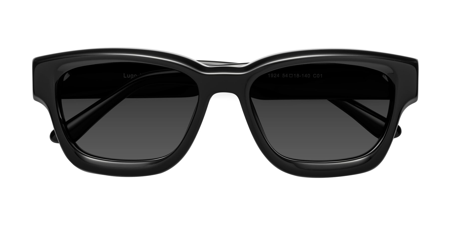 Folded Front of Lugo in Black with Gray Tinted Lenses