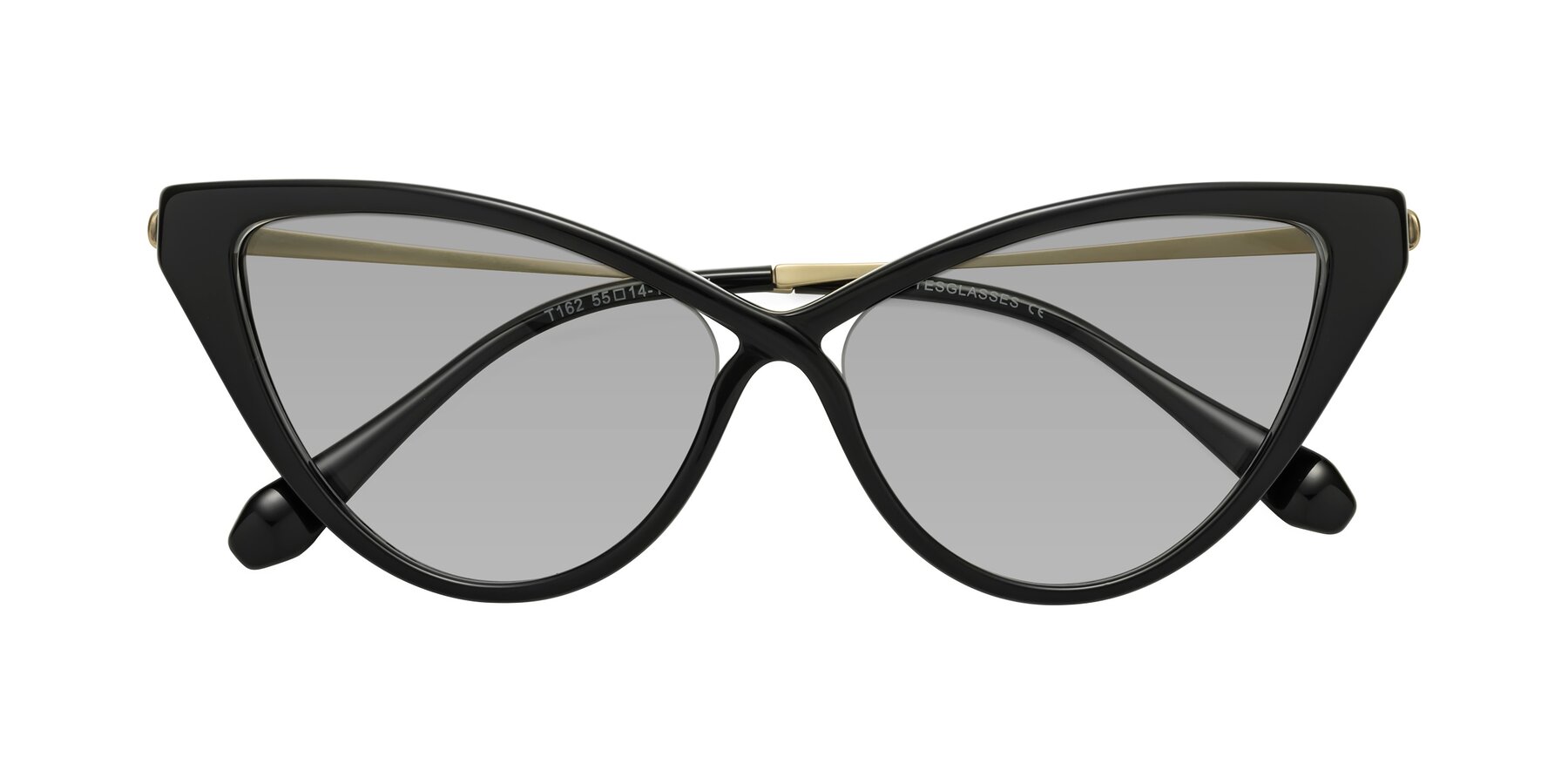 Folded Front of Lucasta in Black with Light Gray Tinted Lenses