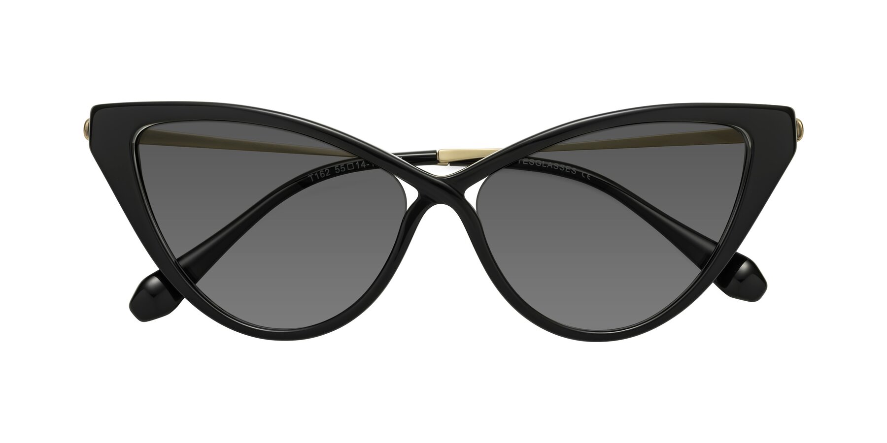 Folded Front of Lucasta in Black with Medium Gray Tinted Lenses