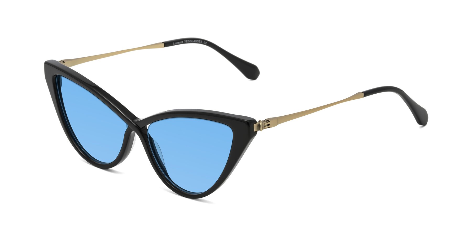 Angle of Lucasta in Black with Medium Blue Tinted Lenses