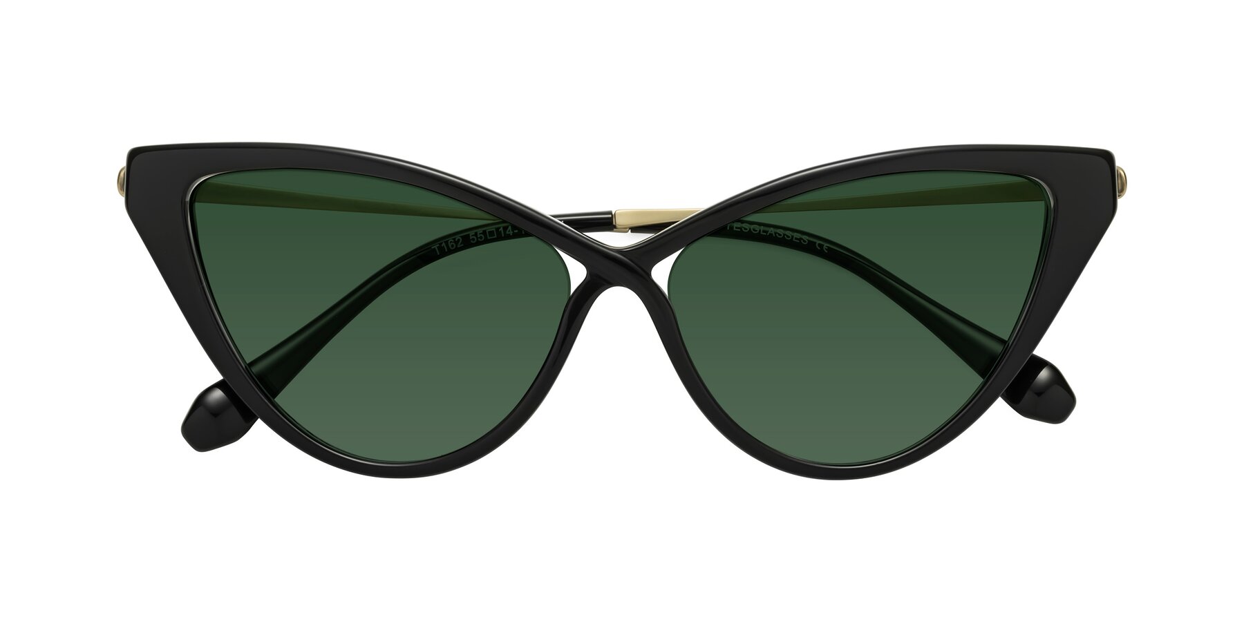 Folded Front of Lucasta in Black with Green Tinted Lenses