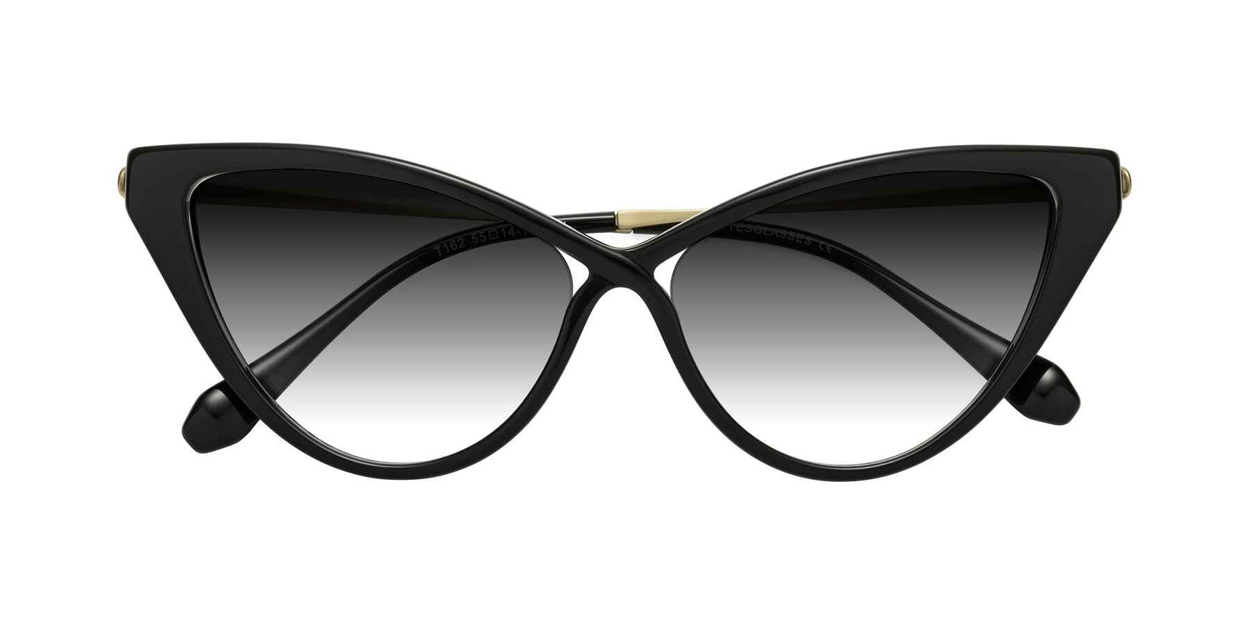 Folded Front of Lucasta in Black with Gray Gradient Lenses