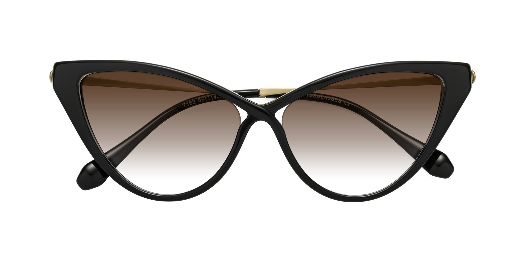 Folded Front of Lucasta in Black with Brown Gradient Lenses