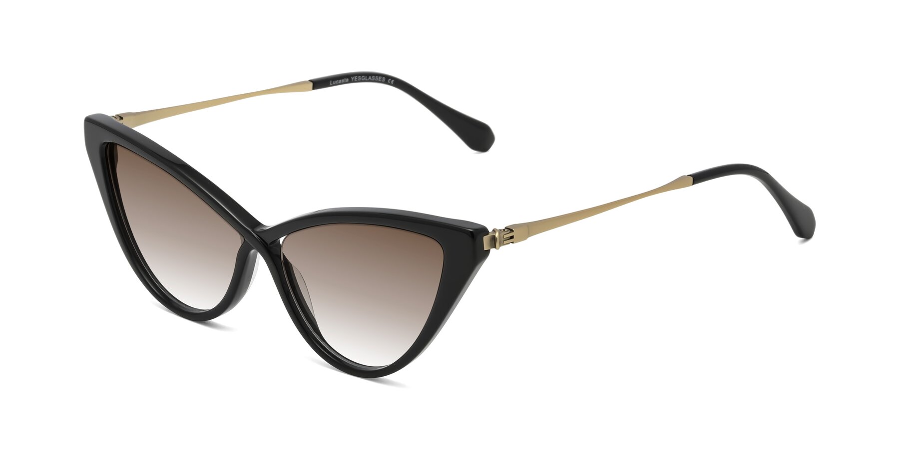 Angle of Lucasta in Black with Brown Gradient Lenses