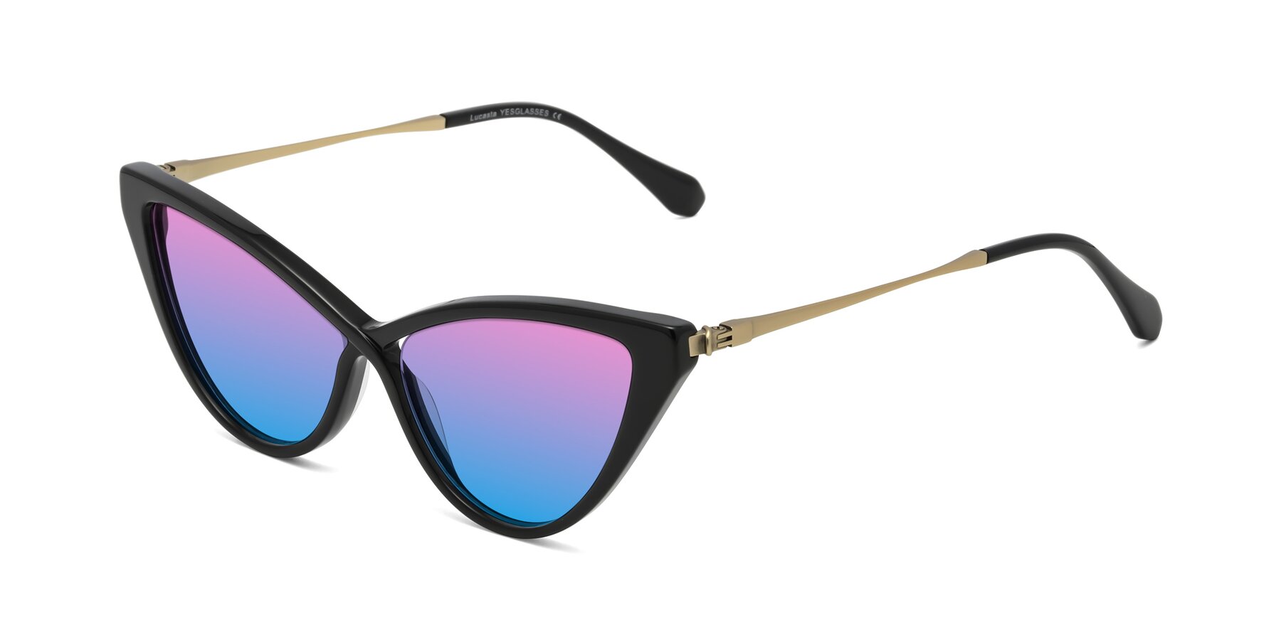 Angle of Lucasta in Black with Pink / Blue Gradient Lenses
