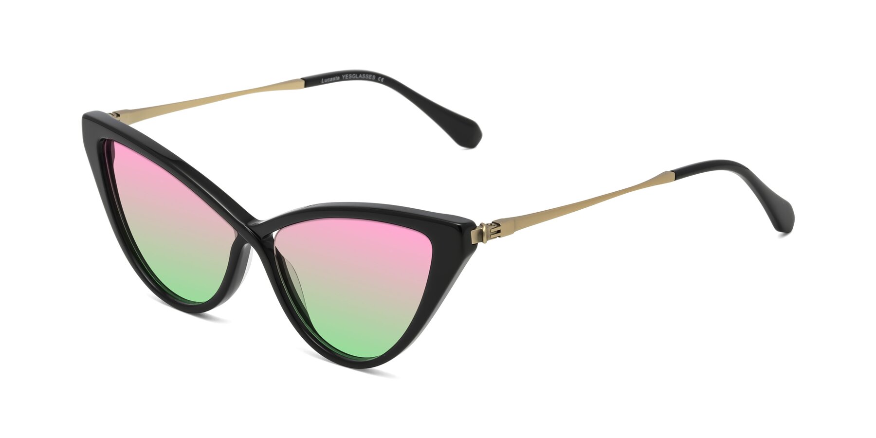 Angle of Lucasta in Black with Pink / Green Gradient Lenses