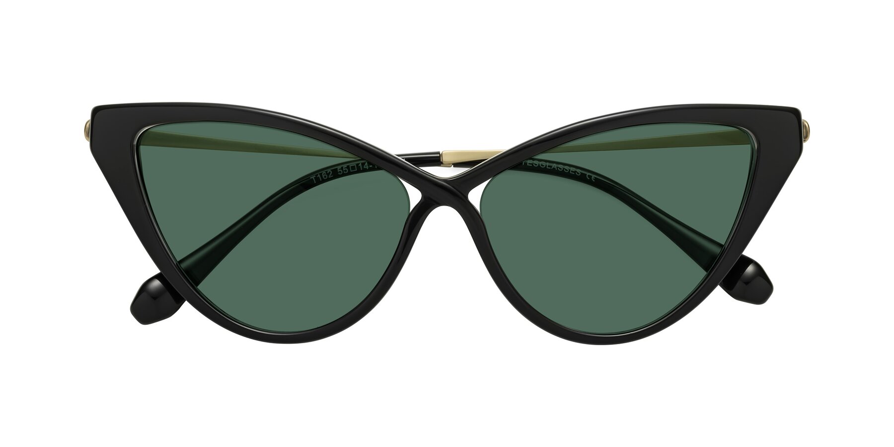 Folded Front of Lucasta in Black with Green Polarized Lenses