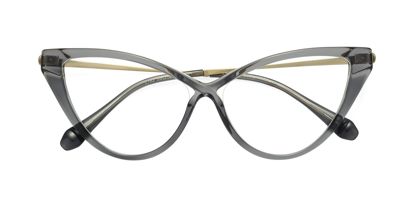 Lucasta - Transparent Gray Eyeglasses
