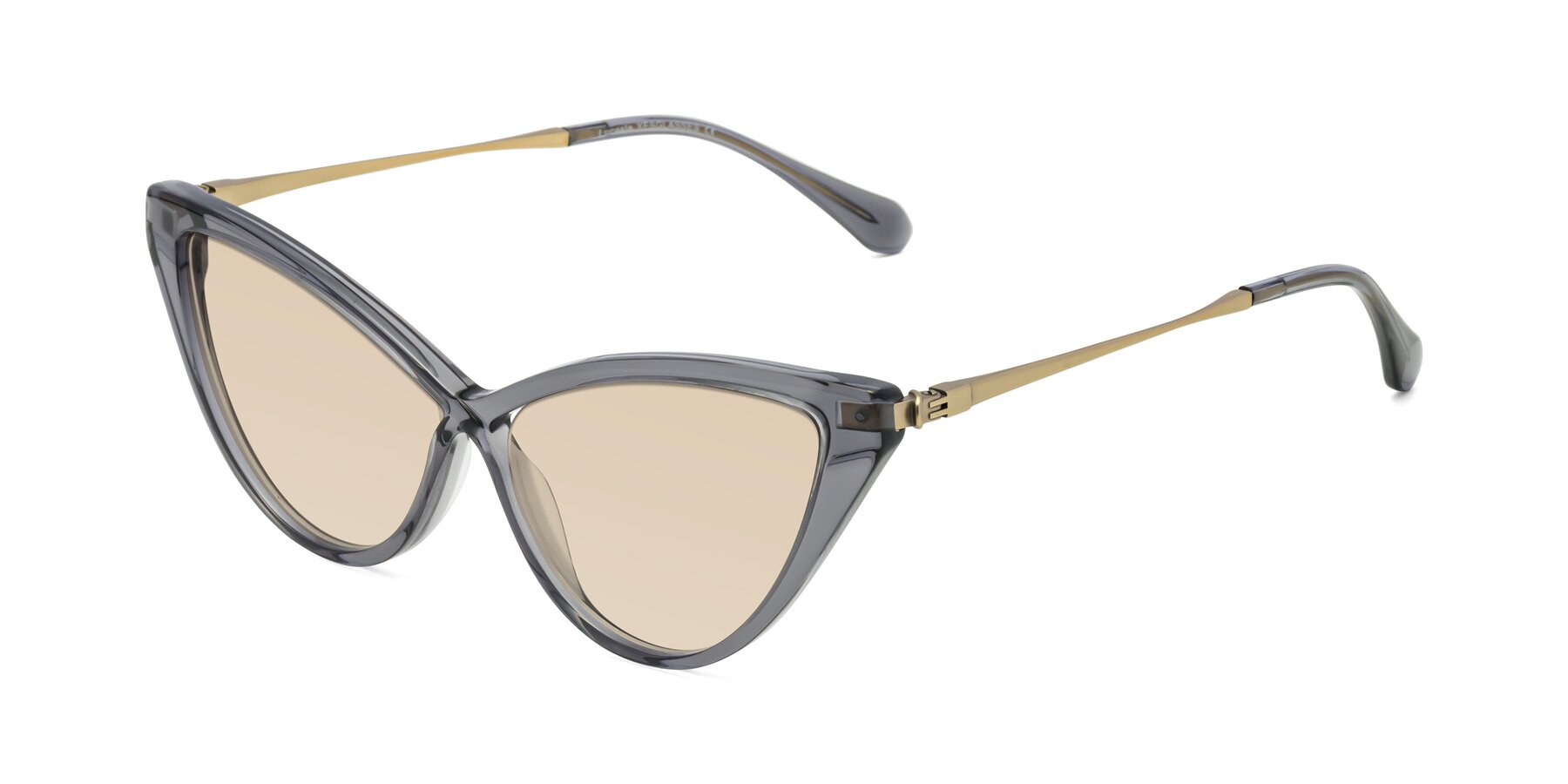 Angle of Lucasta in Transparent Gray with Light Brown Tinted Lenses