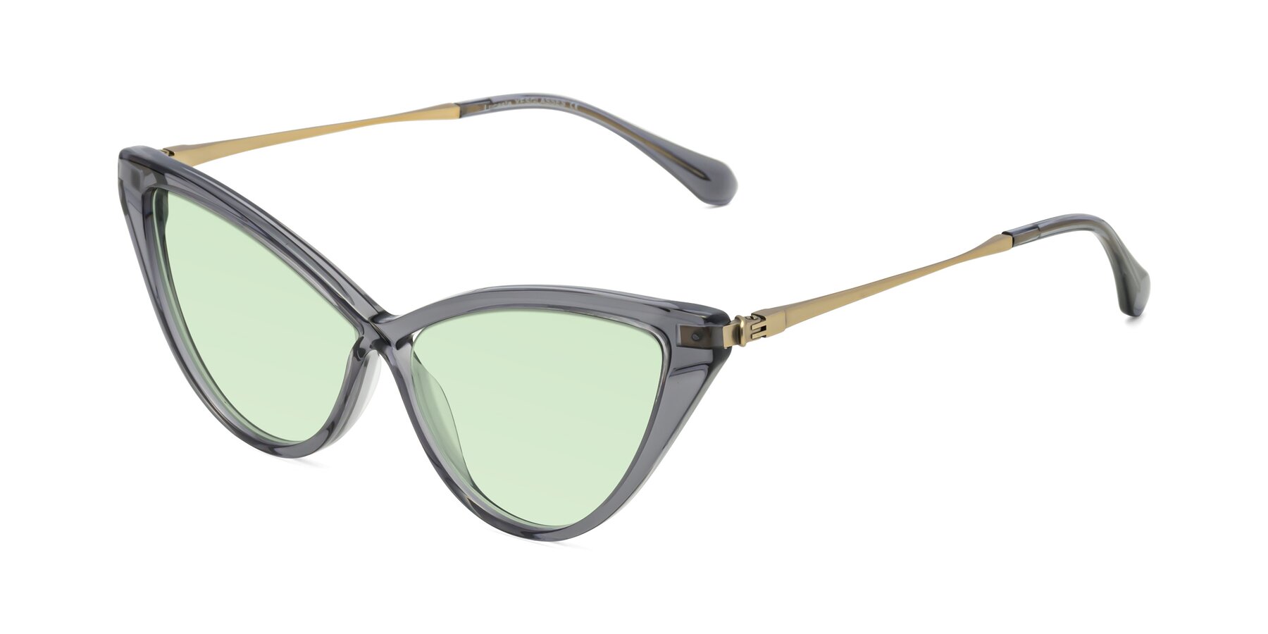 Angle of Lucasta in Transparent Gray with Light Green Tinted Lenses