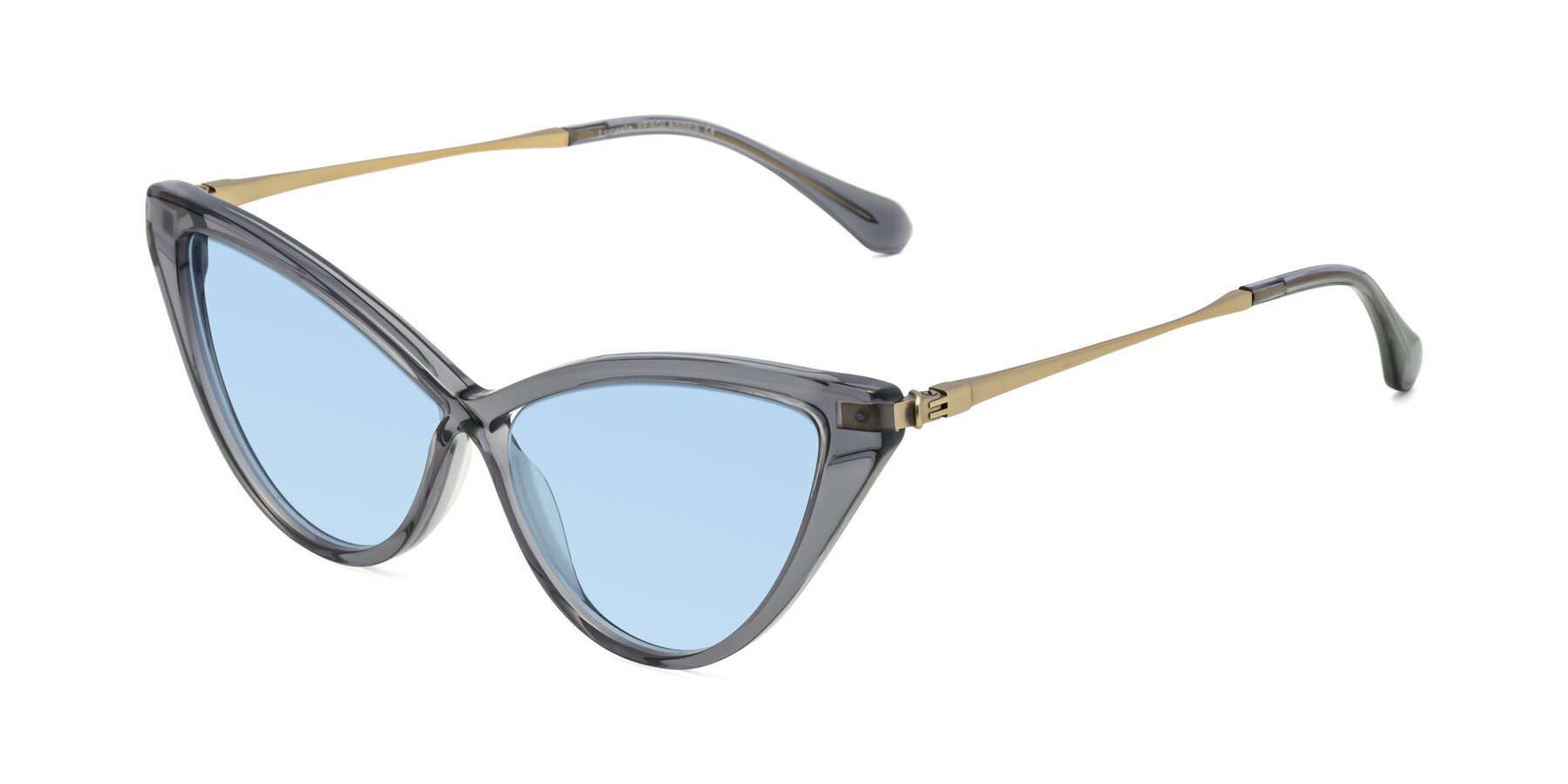 Angle of Lucasta in Transparent Gray with Light Blue Tinted Lenses