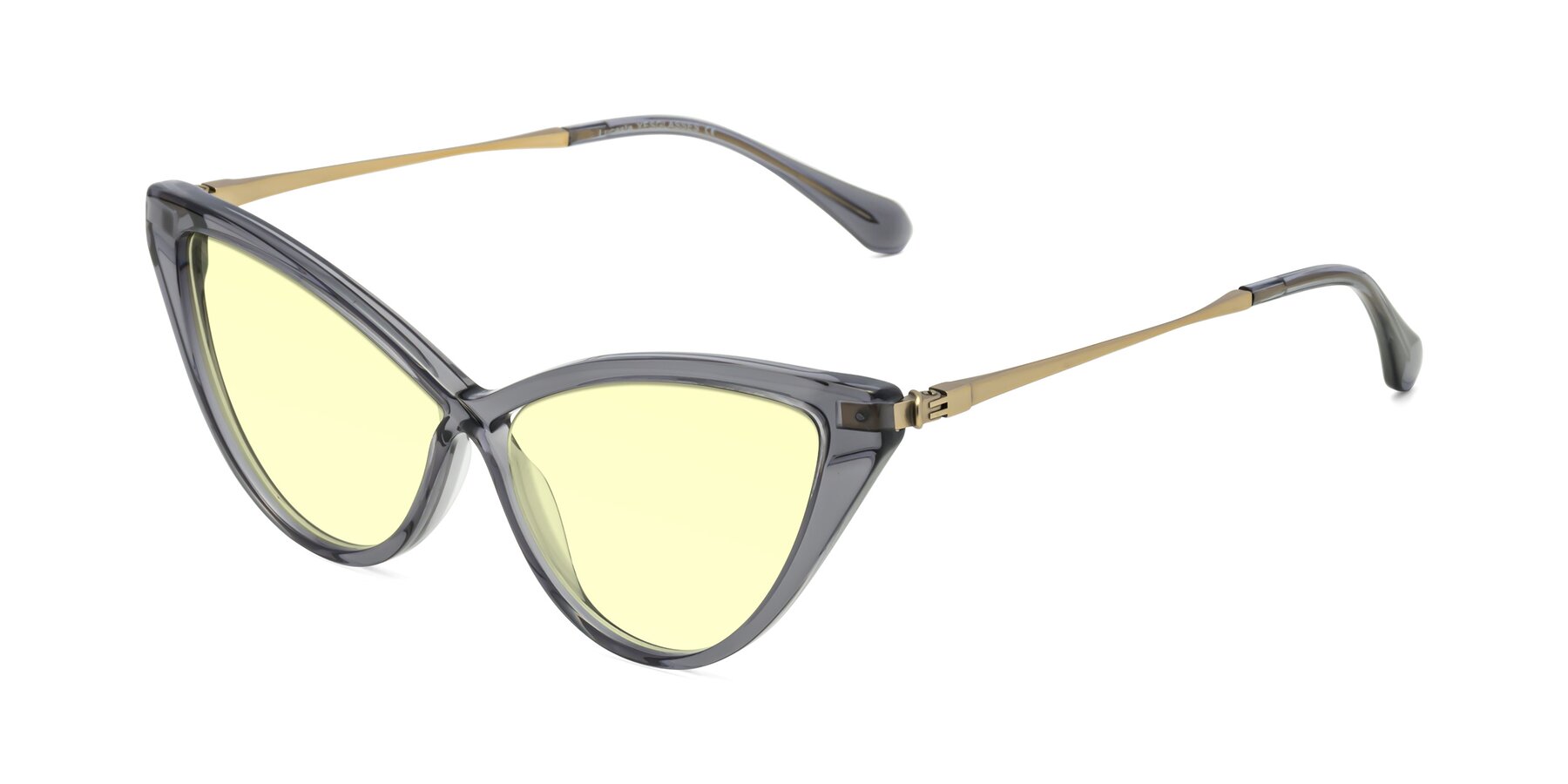 Angle of Lucasta in Transparent Gray with Light Yellow Tinted Lenses