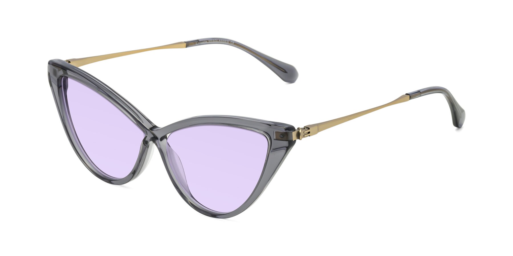 Angle of Lucasta in Transparent Gray with Light Purple Tinted Lenses