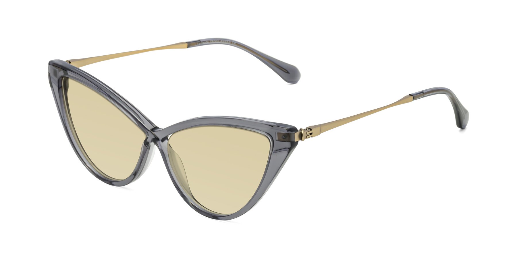 Angle of Lucasta in Transparent Gray with Light Champagne Tinted Lenses