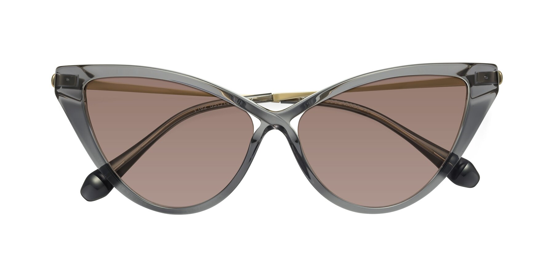 Folded Front of Lucasta in Transparent Gray with Medium Brown Tinted Lenses