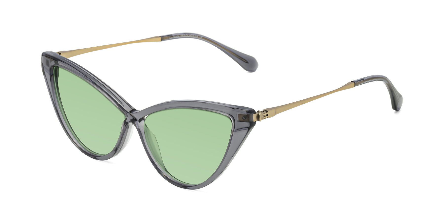 Angle of Lucasta in Transparent Gray with Medium Green Tinted Lenses