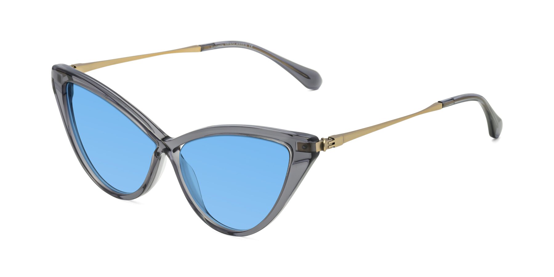 Angle of Lucasta in Transparent Gray with Medium Blue Tinted Lenses