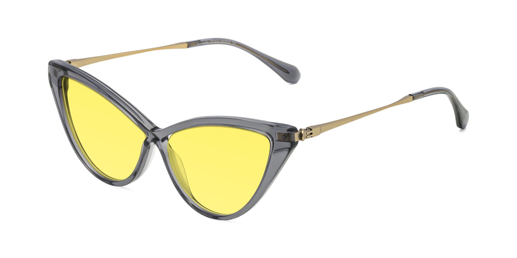 Angle of Lucasta in Transparent Gray with Medium Yellow Tinted Lenses