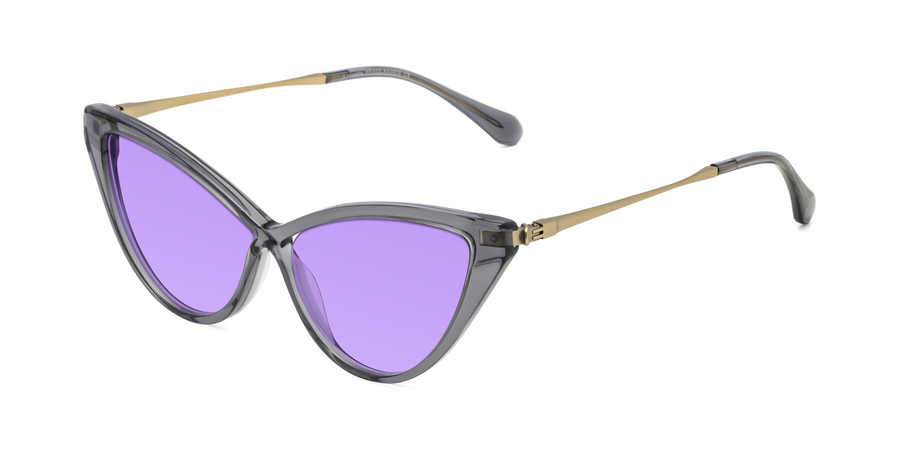 Angle of Lucasta in Transparent Gray with Medium Purple Tinted Lenses