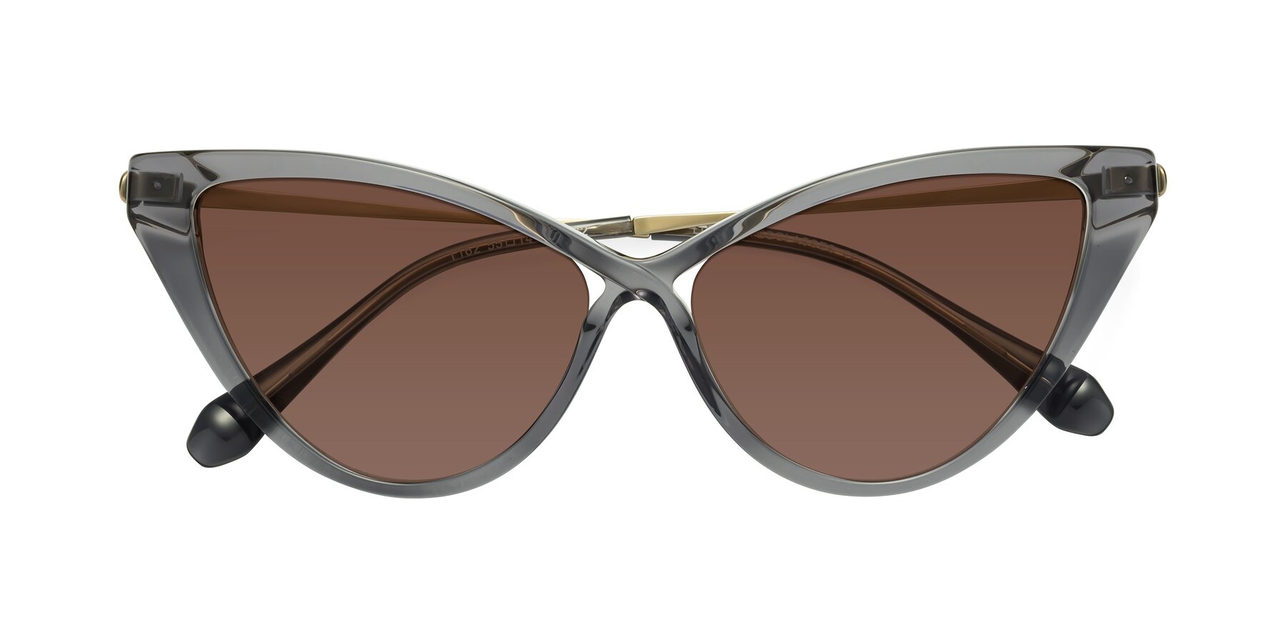 Folded Front of Lucasta in Transparent Gray with Brown Tinted Lenses