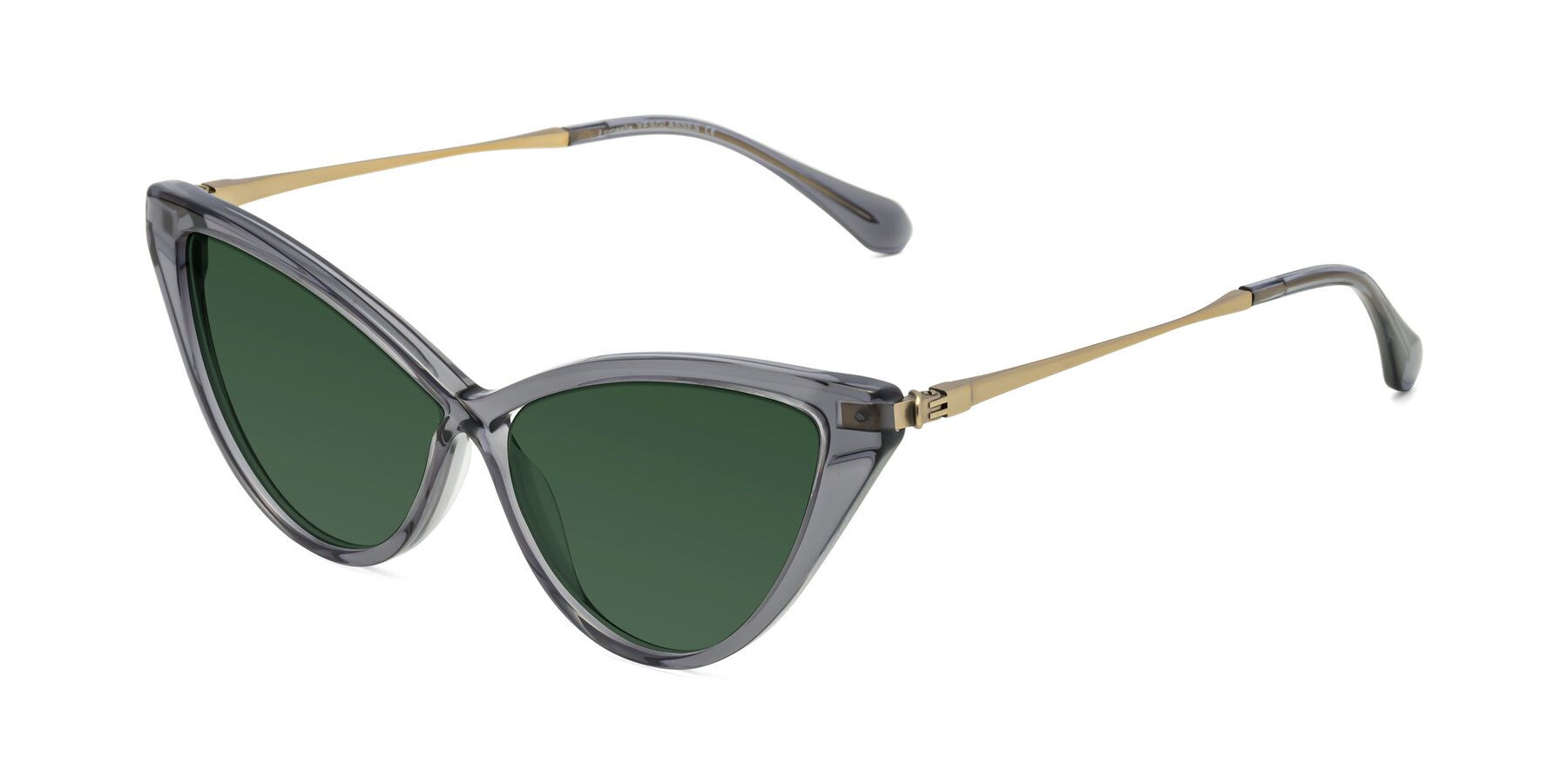 Angle of Lucasta in Transparent Gray with Green Tinted Lenses