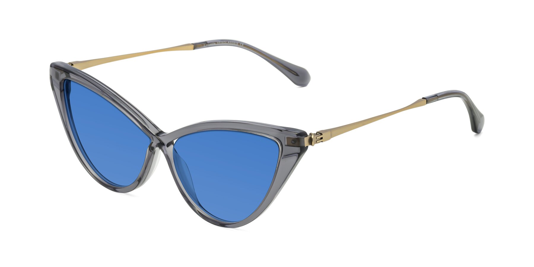 Angle of Lucasta in Transparent Gray with Blue Tinted Lenses