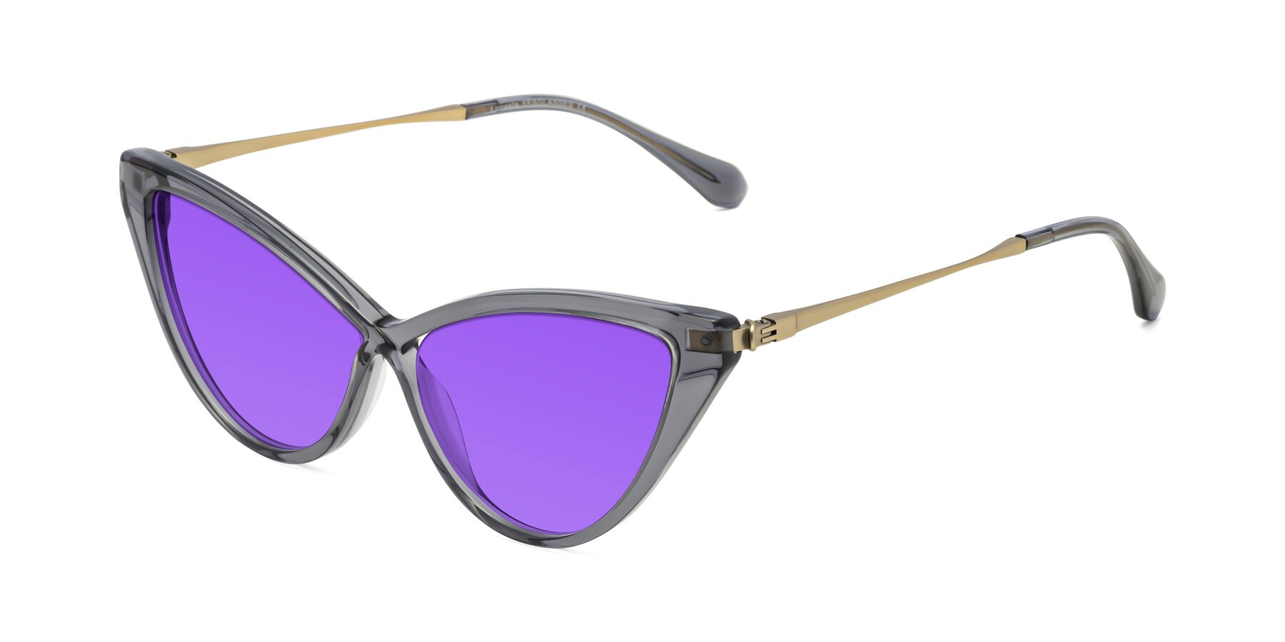 Angle of Lucasta in Transparent Gray with Purple Tinted Lenses