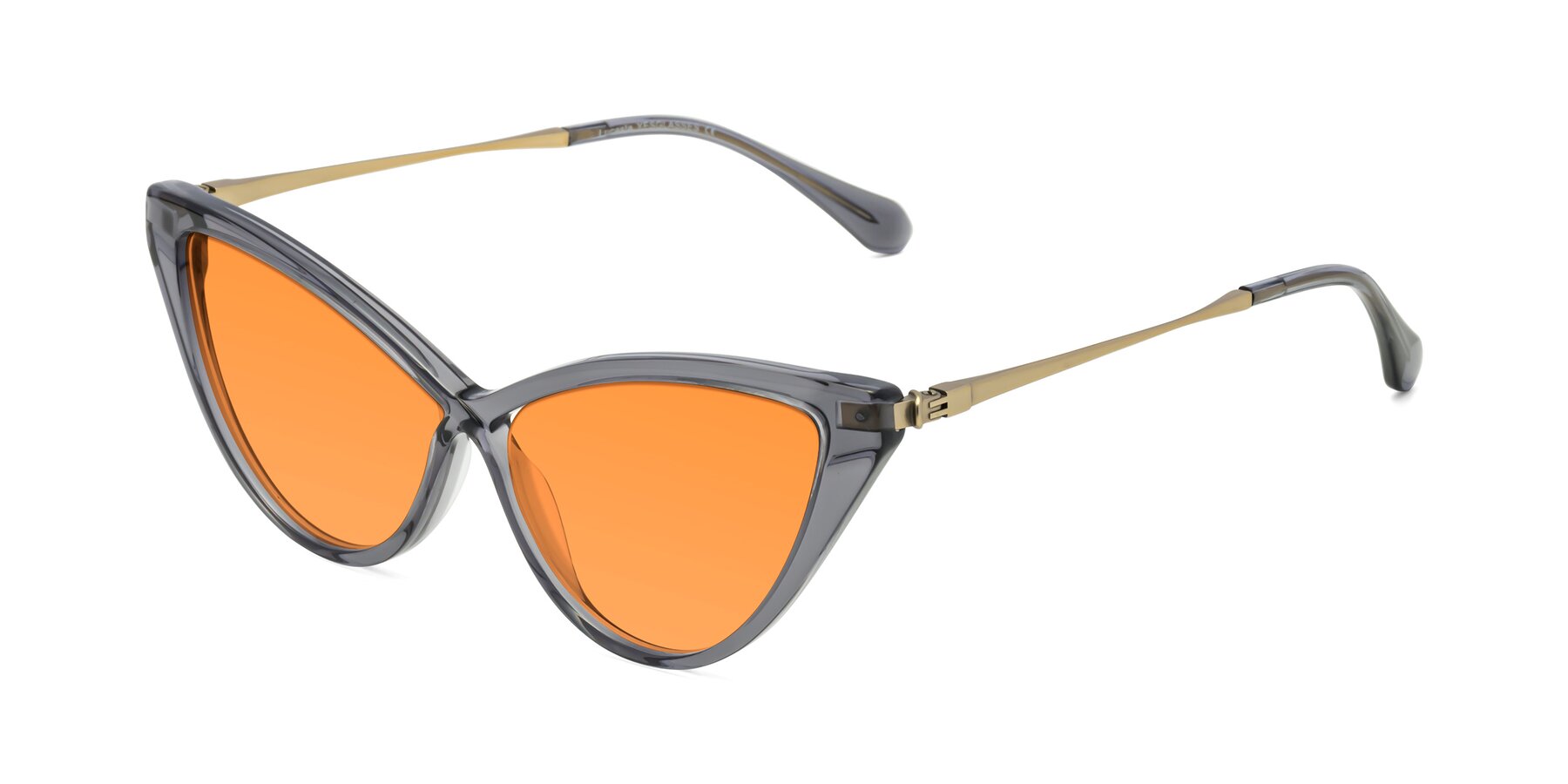 Angle of Lucasta in Transparent Gray with Orange Tinted Lenses