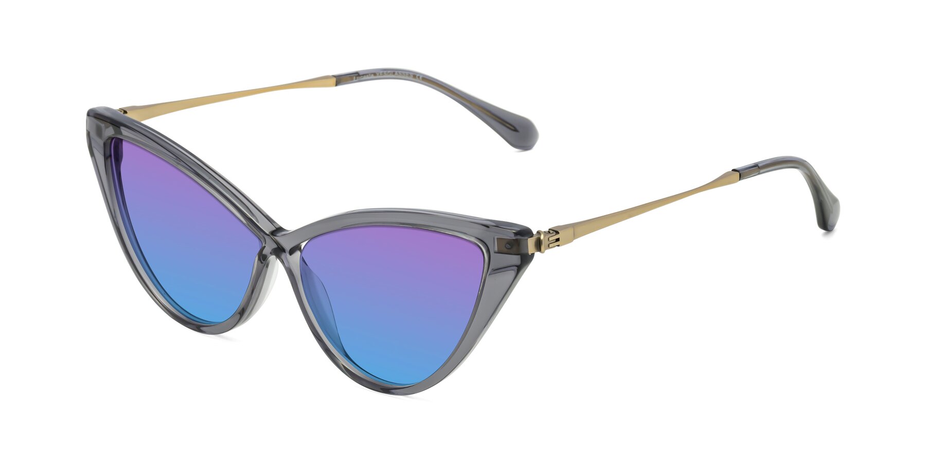 Angle of Lucasta in Transparent Gray with Purple / Blue Gradient Lenses