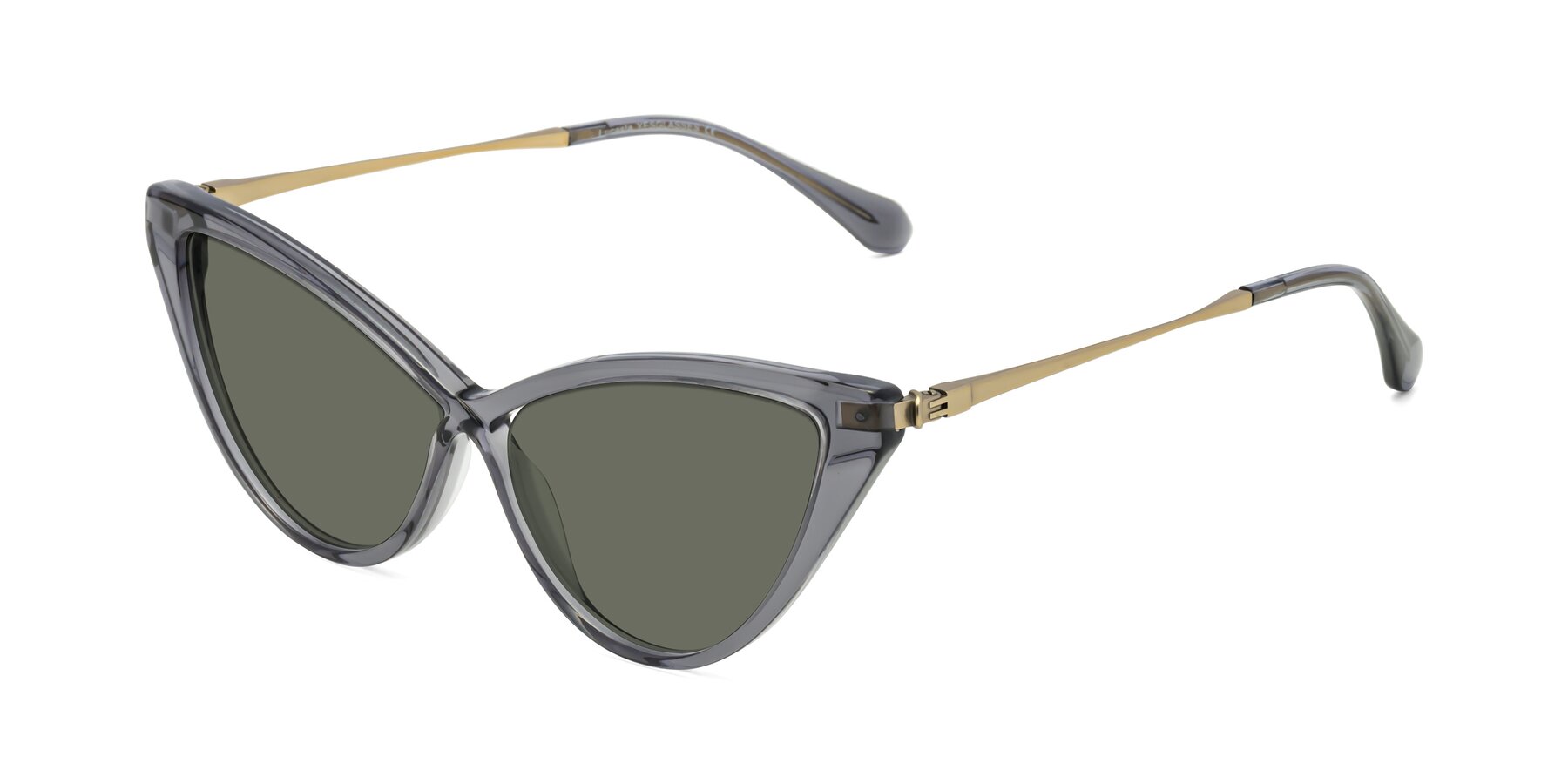 Angle of Lucasta in Transparent Gray with Gray Polarized Lenses