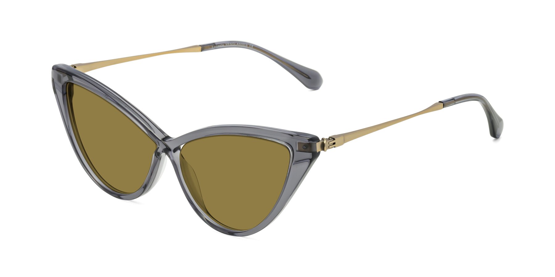 Angle of Lucasta in Transparent Gray with Brown Polarized Lenses