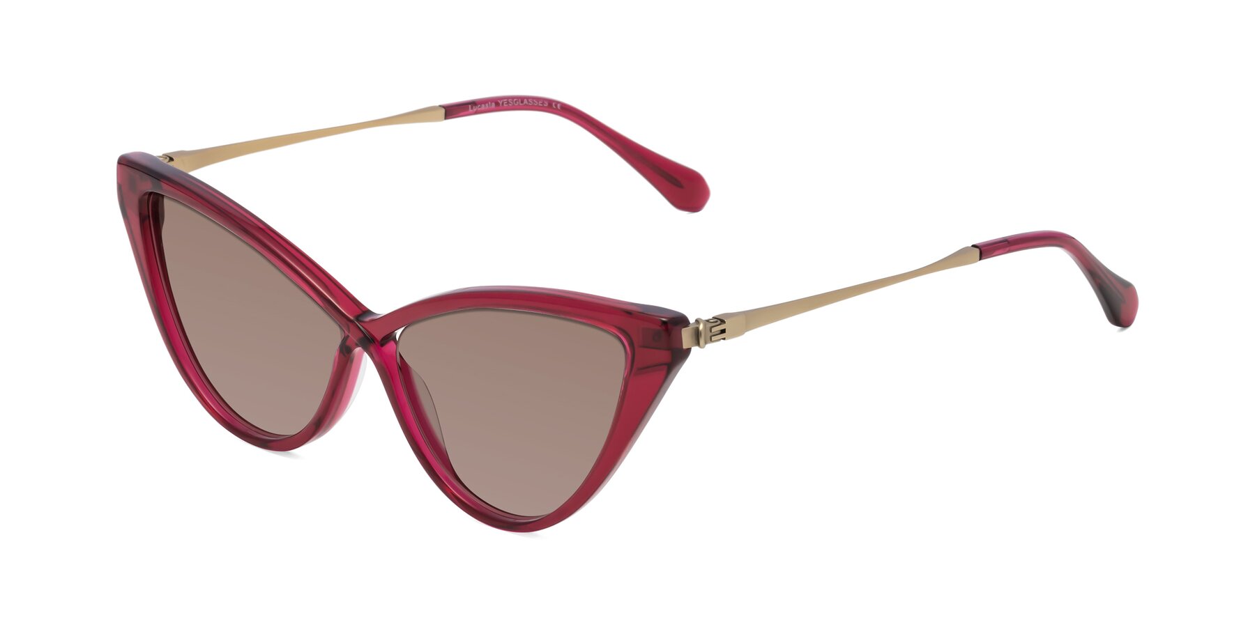 Angle of Lucasta in Wine with Medium Brown Tinted Lenses