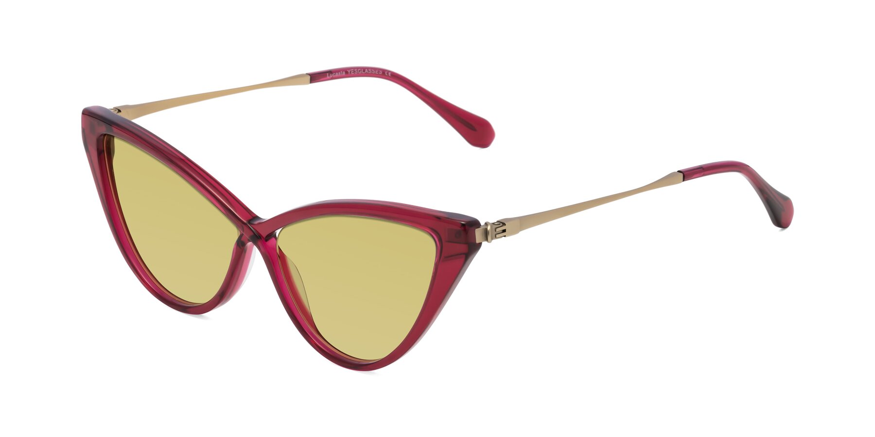 Angle of Lucasta in Wine with Medium Champagne Tinted Lenses