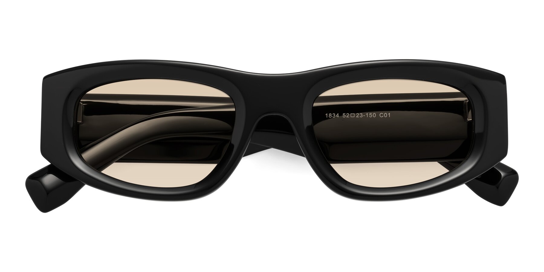 Folded Front of Elm in Black with Light Brown Tinted Lenses