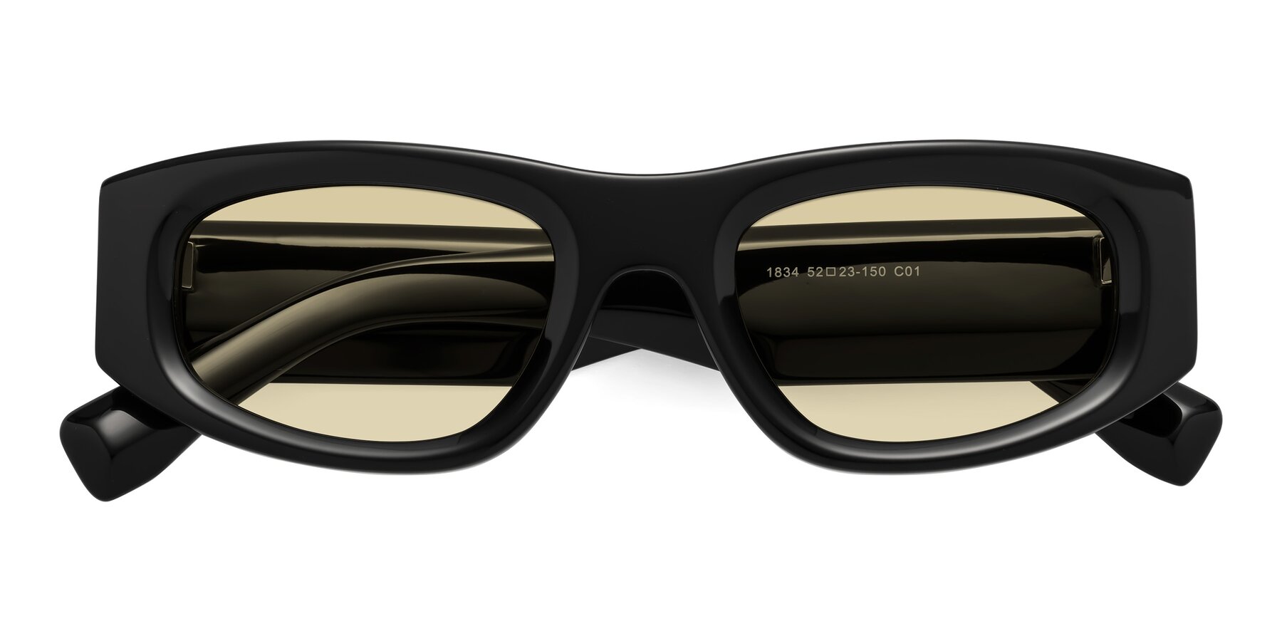 Folded Front of Elm in Black with Light Champagne Tinted Lenses