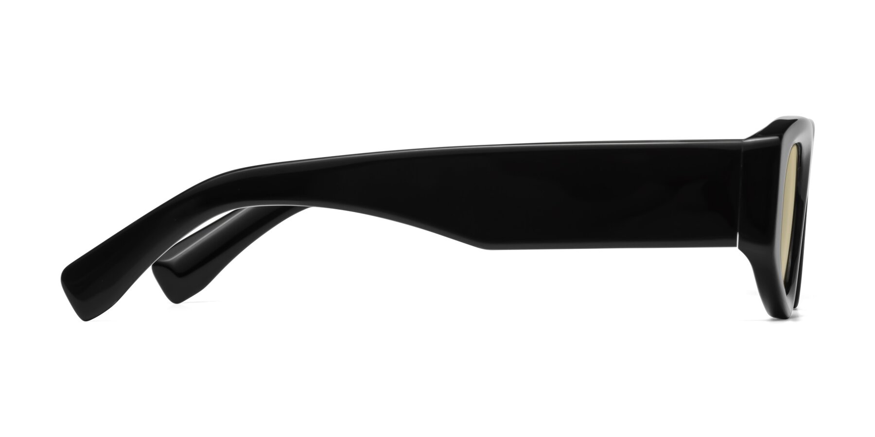 Side of Elm in Black with Light Champagne Tinted Lenses