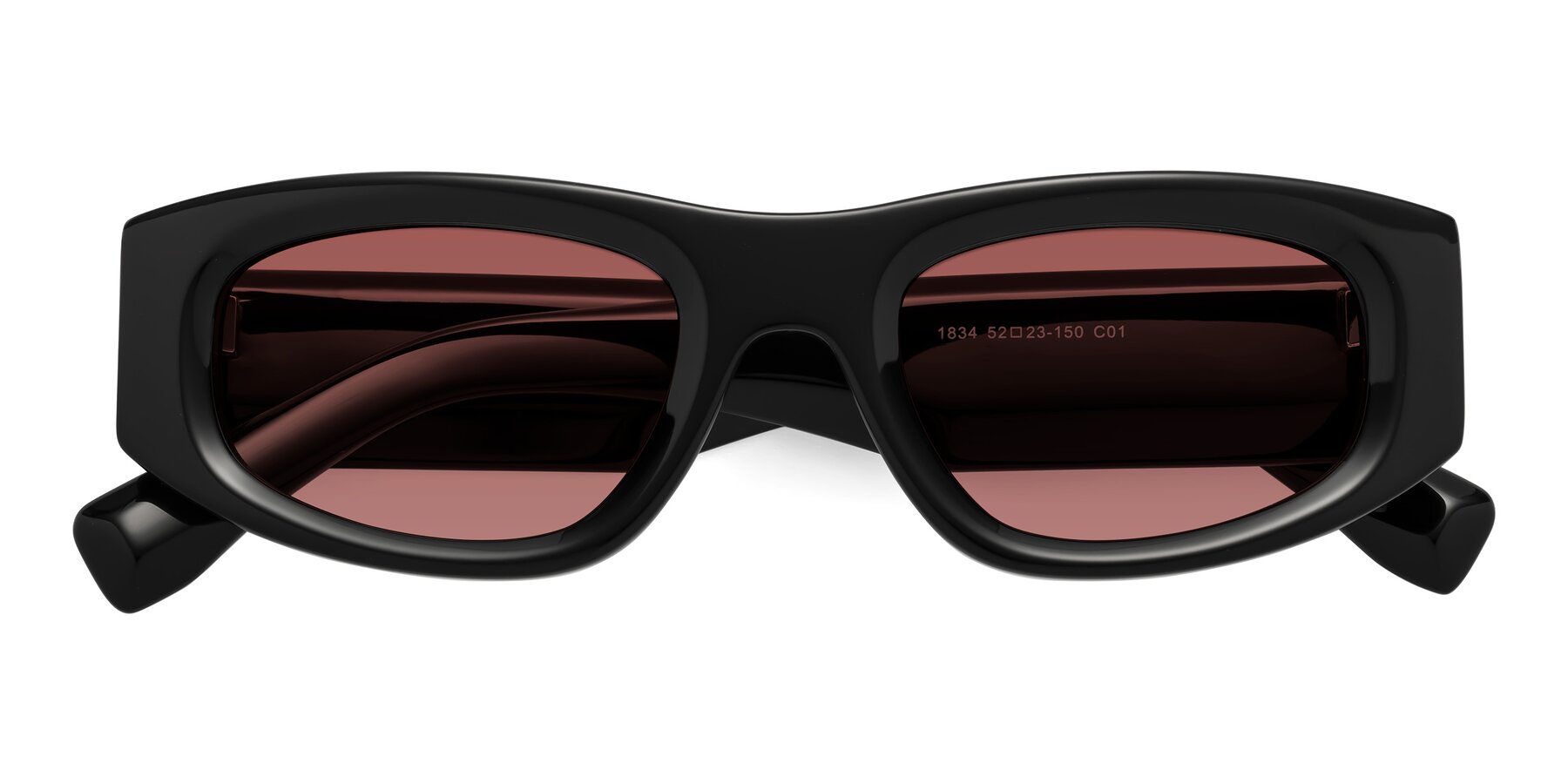 Folded Front of Elm in Black with Garnet Tinted Lenses