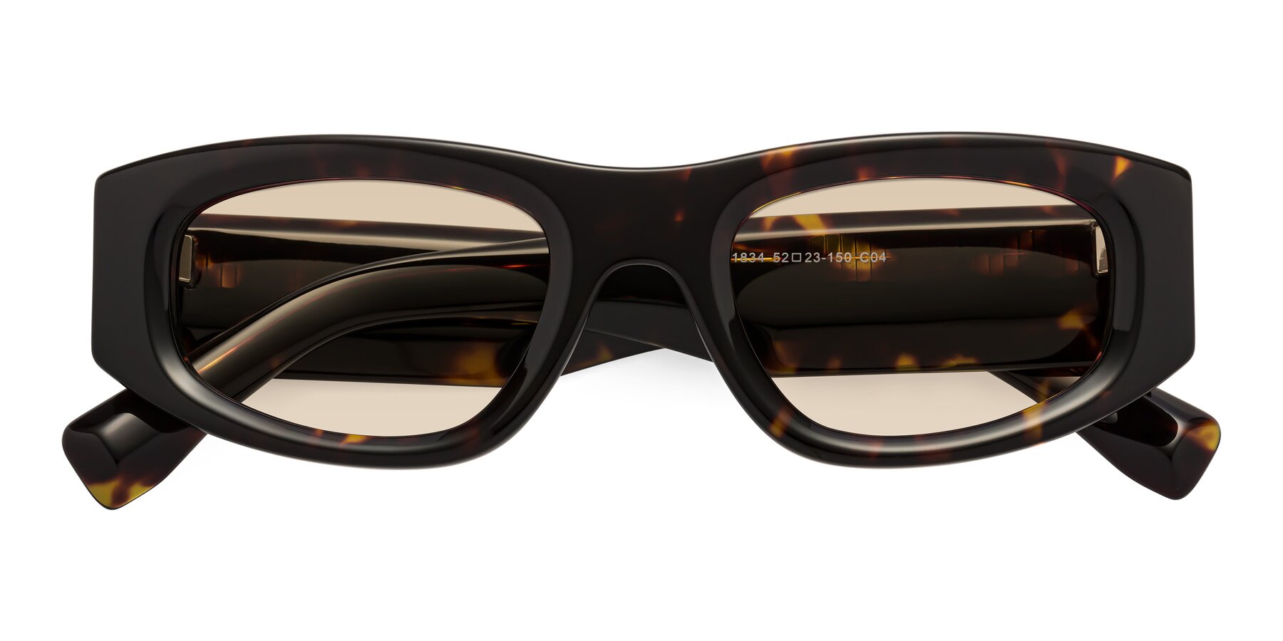 Folded Front of Elm in Tortoise with Light Brown Tinted Lenses