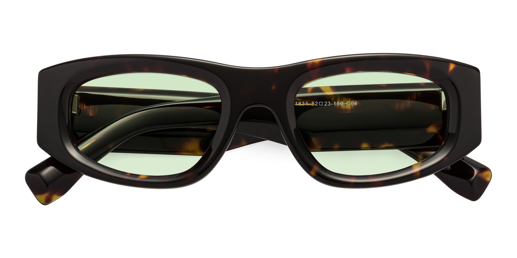 Folded Front of Elm in Tortoise with Light Green Tinted Lenses