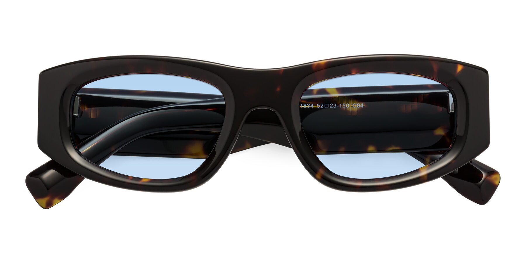 Folded Front of Elm in Tortoise with Light Blue Tinted Lenses