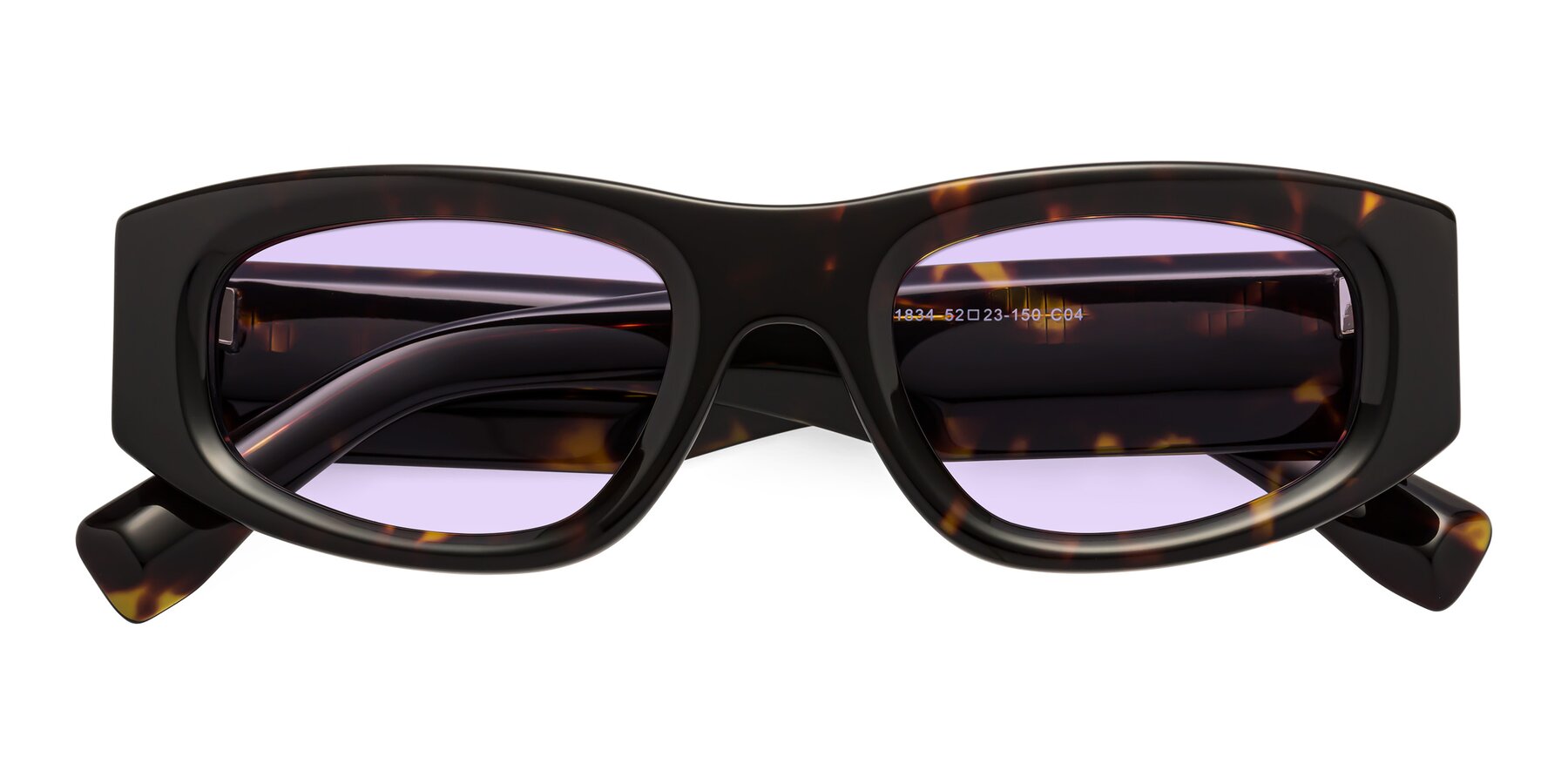 Folded Front of Elm in Tortoise with Light Purple Tinted Lenses