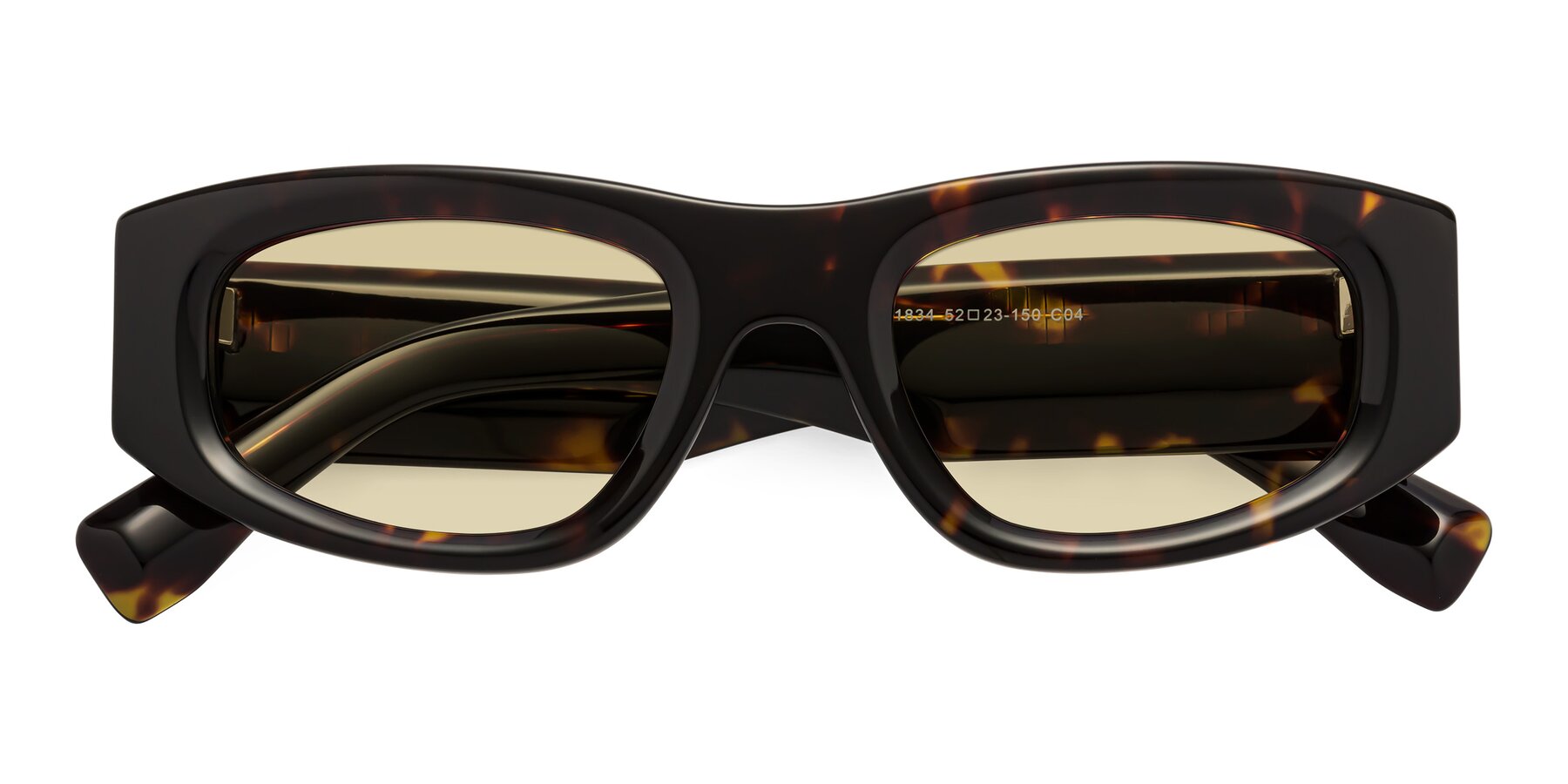 Folded Front of Elm in Tortoise with Light Champagne Tinted Lenses