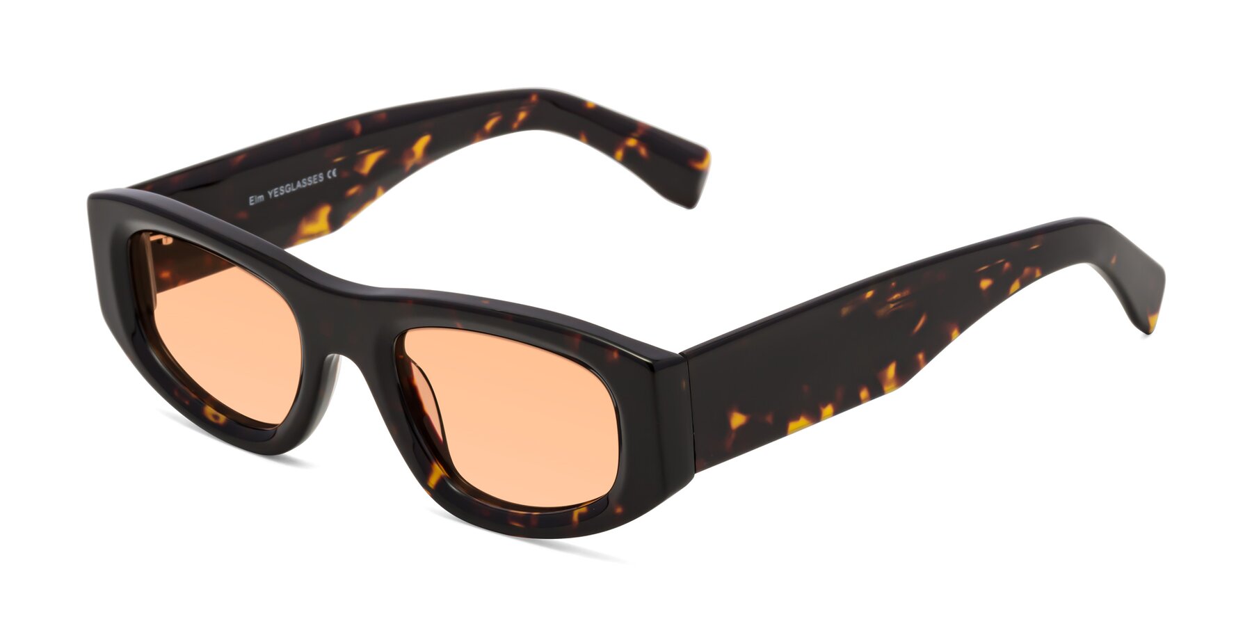 Angle of Elm in Tortoise with Light Orange Tinted Lenses