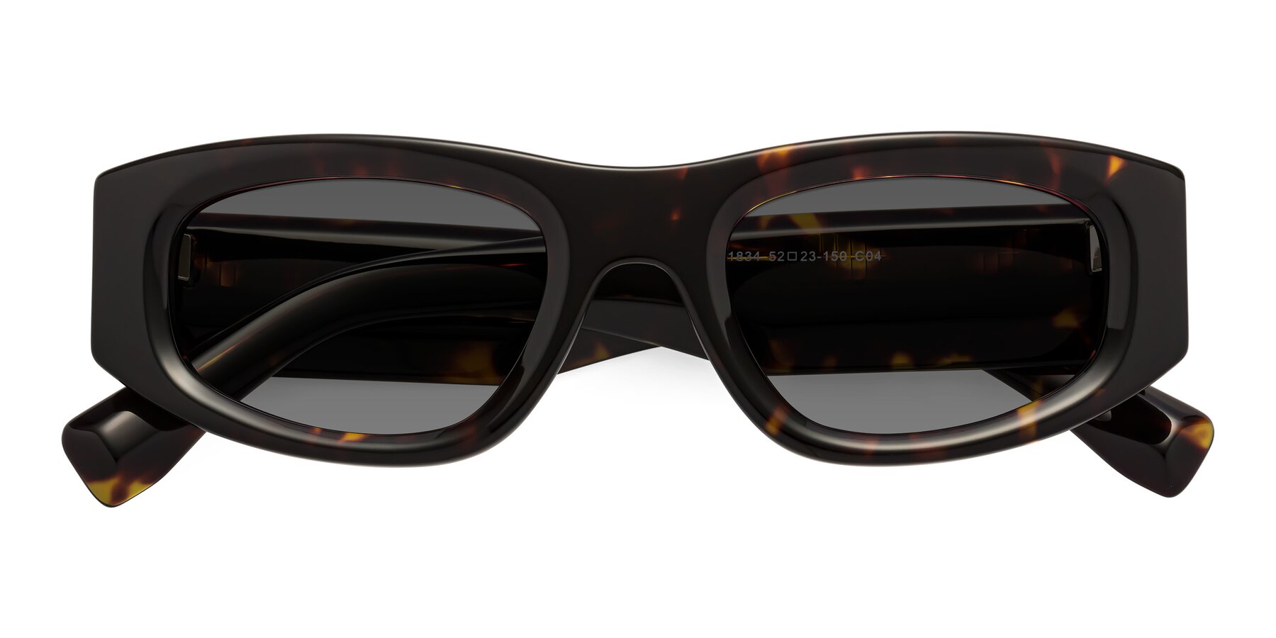 Folded Front of Elm in Tortoise with Medium Gray Tinted Lenses