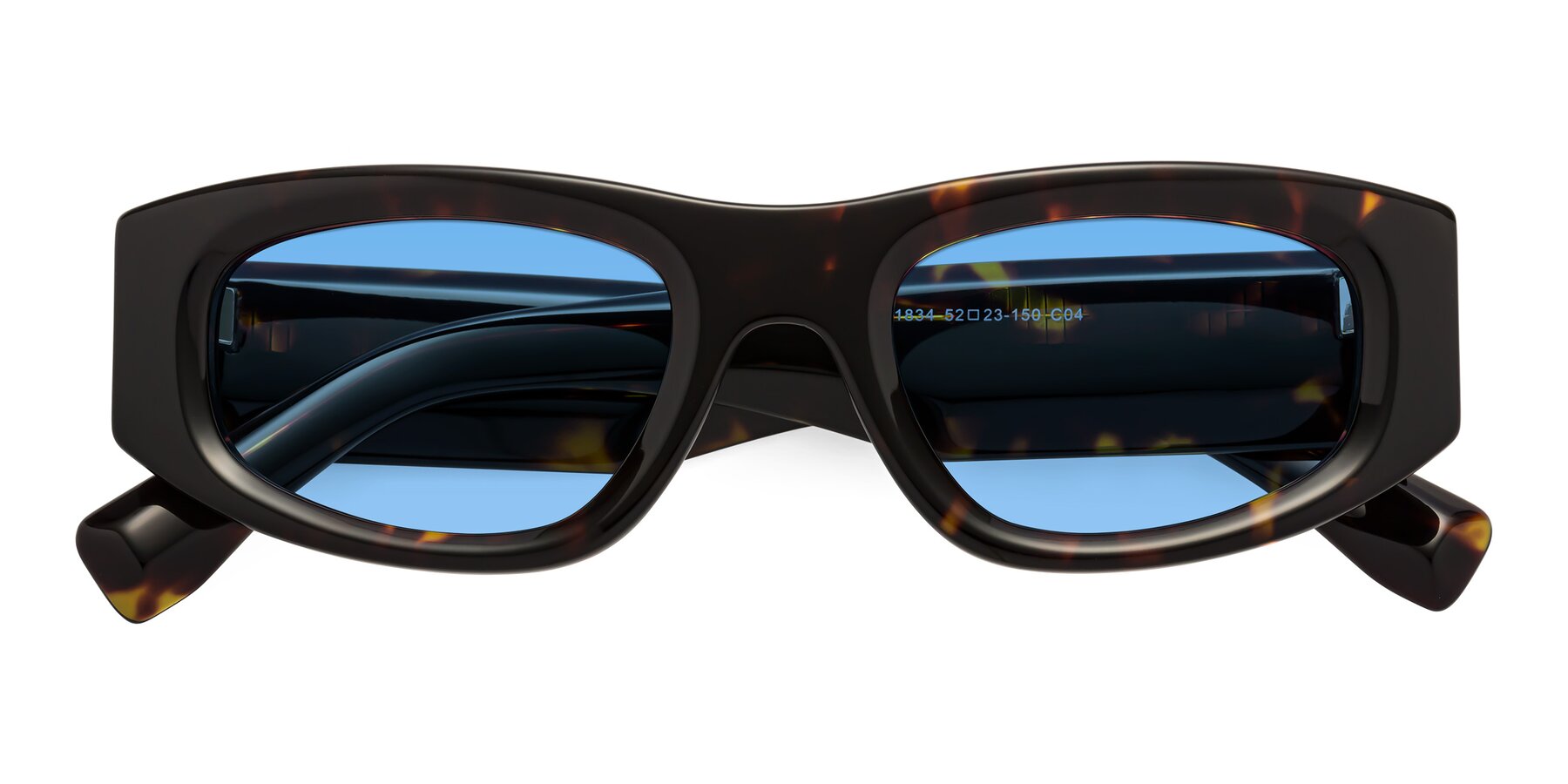 Folded Front of Elm in Tortoise with Medium Blue Tinted Lenses