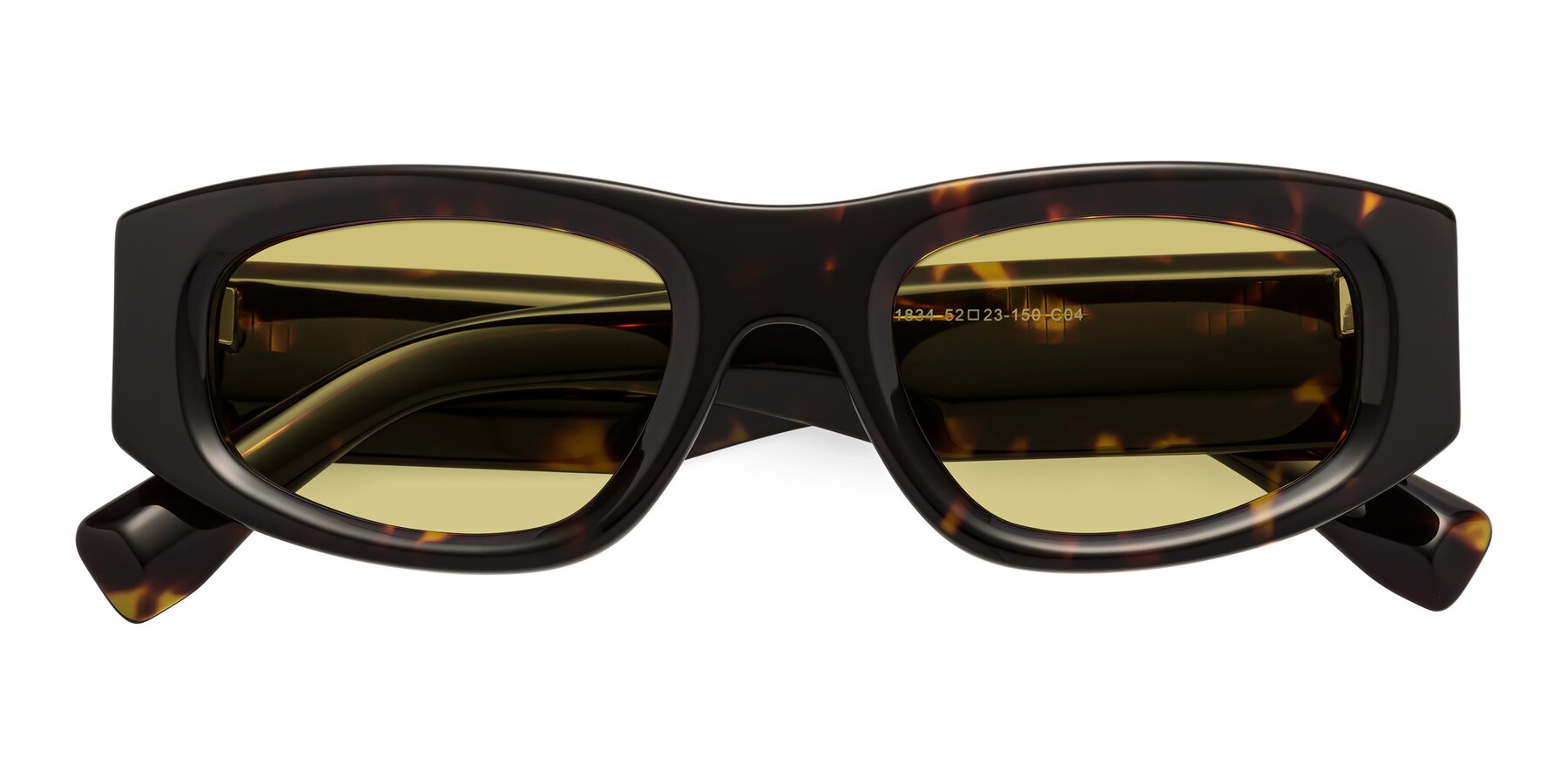 Folded Front of Elm in Tortoise with Medium Champagne Tinted Lenses