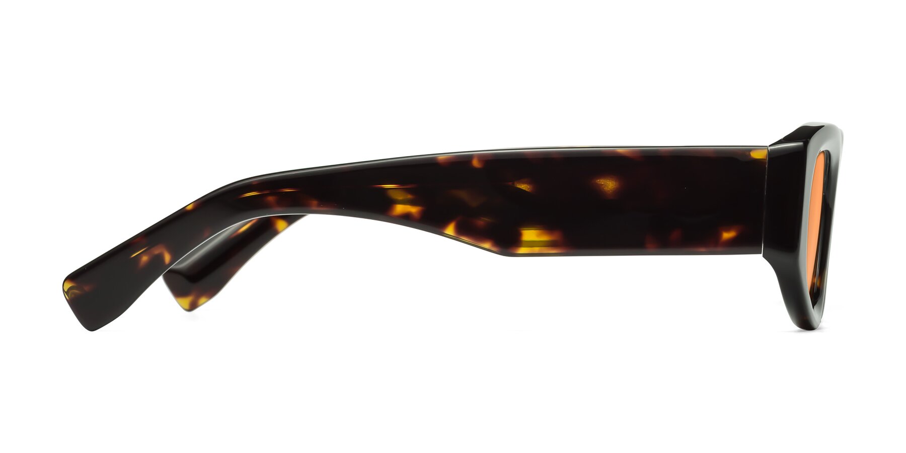 Side of Elm in Tortoise with Medium Orange Tinted Lenses