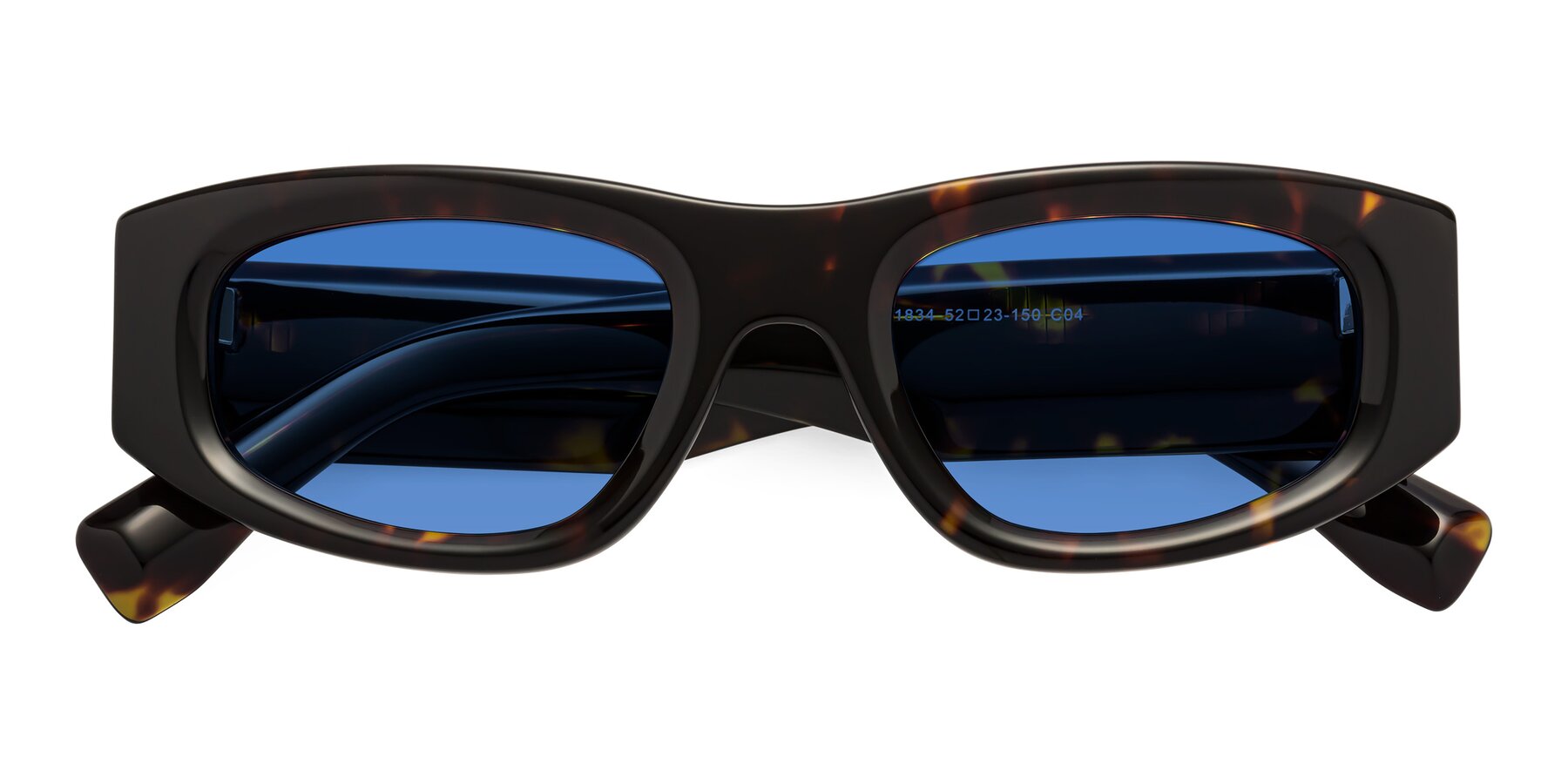 Folded Front of Elm in Tortoise with Blue Tinted Lenses
